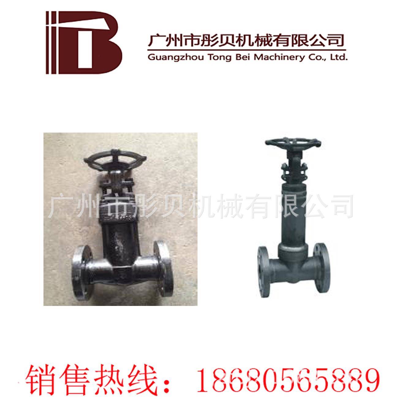 WZ41H波纹管闸阀 DN50