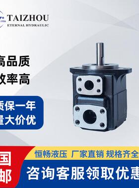 丹尼逊精工铸造高压液压叶片泵船舶机械T6D/T6DC8/42/45/50/61