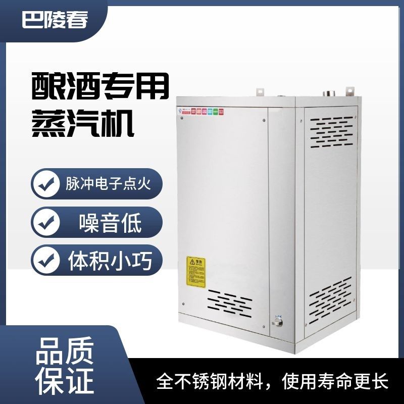蒸汽产生器商用节能蒸气机酿酒豆腐锅炉煮豆浆蒸馒头燃气蒸气锅炉