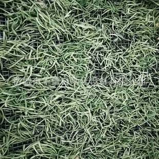 小型黄花菜烘干机设备 黄心菜果蔬烘干房烘干生产线厂家