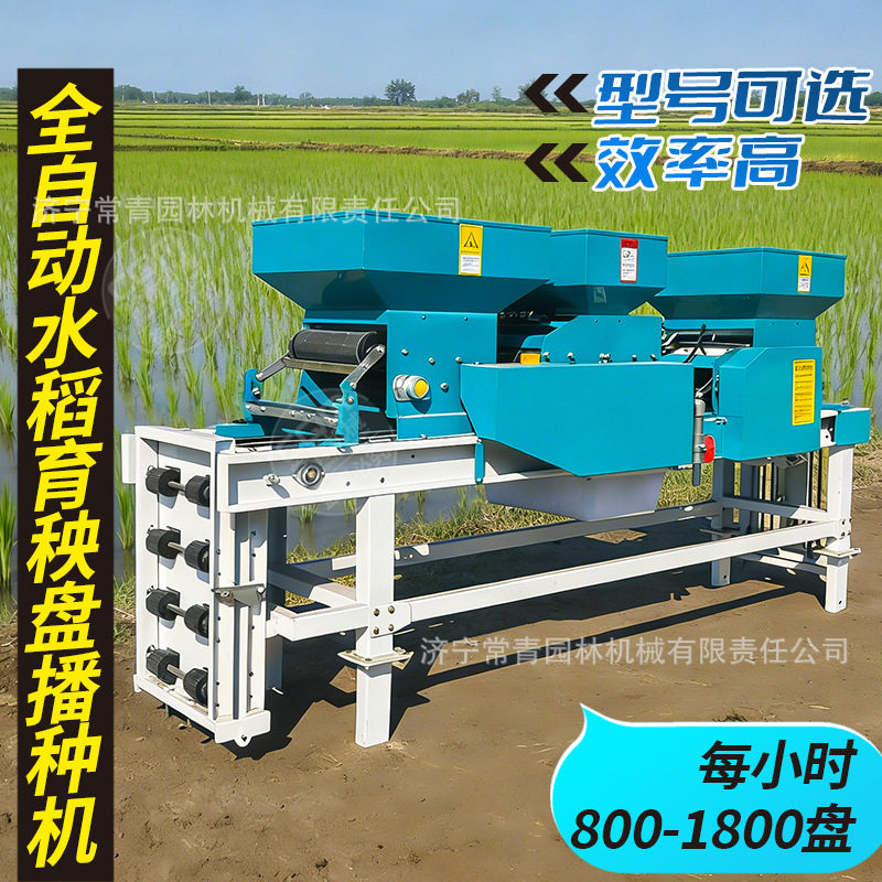 全自动水稻育秧播种机水旱通用