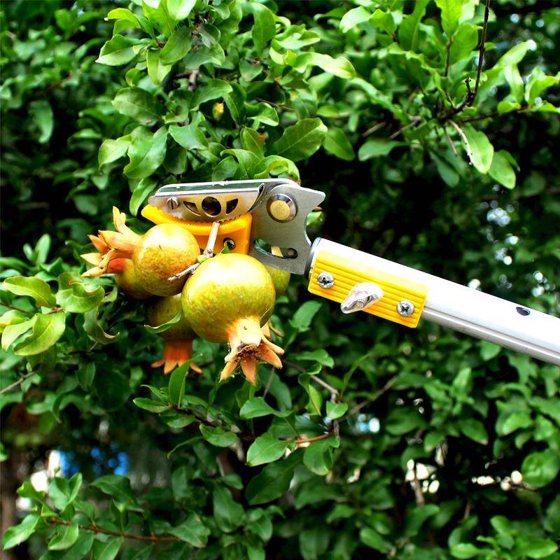厂剪3家CJX新品米4伸缩高空摘果高枝采果剪荔枝龙眼水果采摘米器
