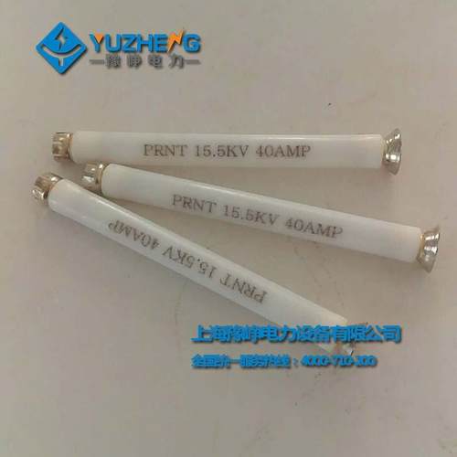 油浸式V美式变PRNT压器保护后备熔-断器PRNT15.5K底座ZGR