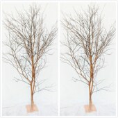 白树枝枯树枝造型摆件酒店橱窗装 饰橱窗树摆件家居落地 饰婚庆装