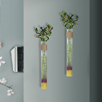 壁挂创意磨砂麻绳玻璃花瓶半透明转运竹花插墙面工艺品装饰挂件