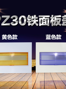 配电箱盖板PZ30铁面板10/12/15/18/20/24回路家用电盒电表箱盖子
