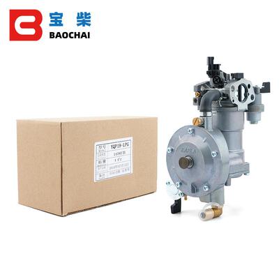YQP1-LPG双燃料化油器9GXYQP19-LP200618/170F汽油水泵微耕发动机