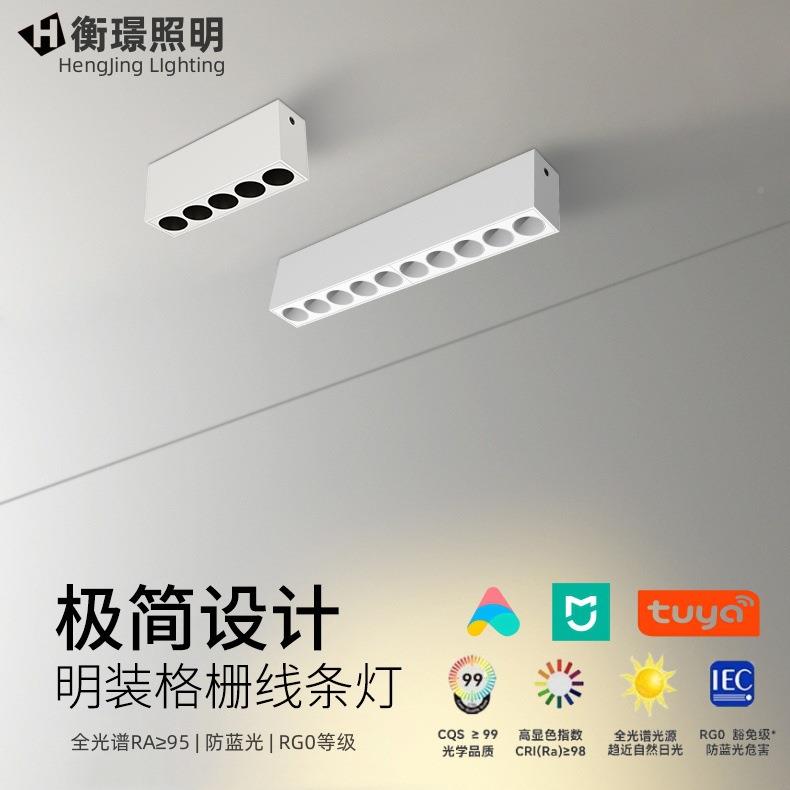 LE栅线条格灯BBS全光D谱明装洗墙灯长条超薄客厅智能书斗房过道胆