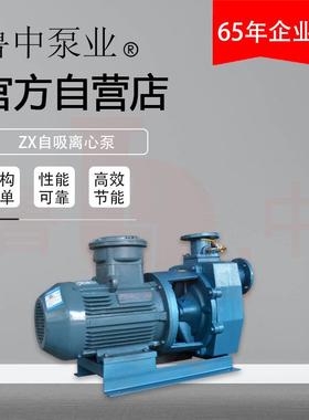 65Z系X-165型列吸离心泵自696吸柴油机鲁组中牌高自扬程