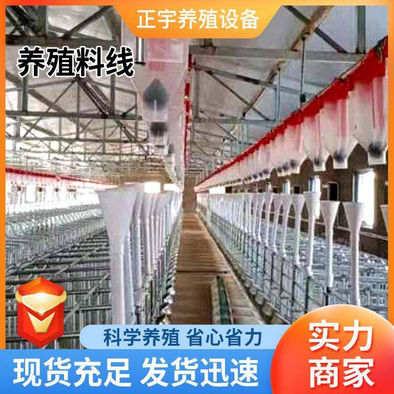 塞盘养猪场自动料料线畜喂饲喂设备全套料塔料线养185殖自动化牲