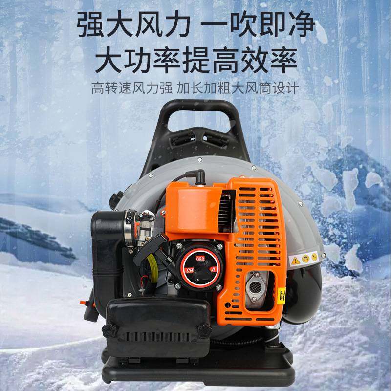 大功率吹雪机手提式吹风机风力灭火机落叶工地除尘器汽油吹风机,鲜花速递/花卉仿真/绿植园艺,其它园艺用品,淘宝优惠券,粉丝福利购,淘宝优惠卷