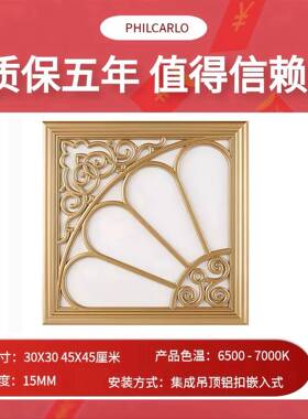 LED灯450X50平板灯嵌入式客厅厨房化妆室吸顶灯铝扣板灯集成组合