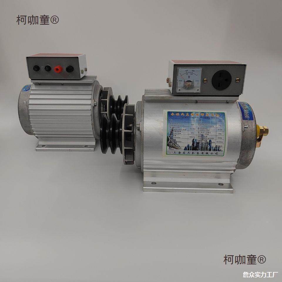 厂微家直销型永电焊发小电两上海尚兀用一体机型直流发电磁机220v