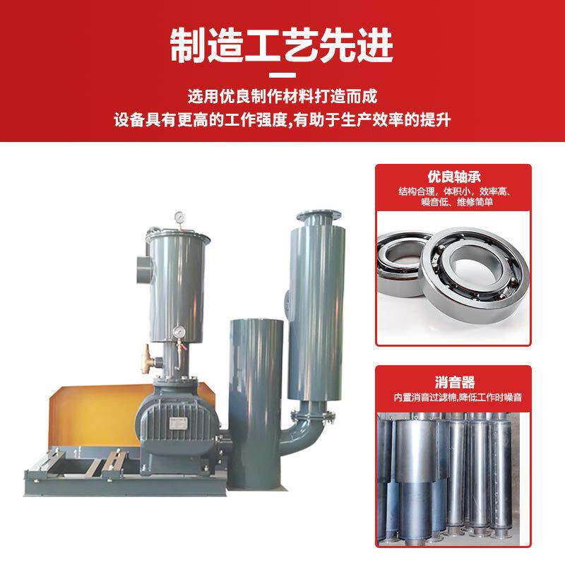 龙铁普昇驰罗茨风气力输机送气包装机纸巾机械低噪67音罗茨吸真空