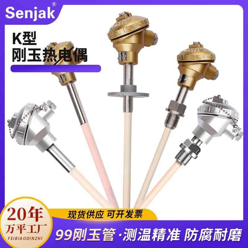 耐高温K型刚玉热电偶WRN-10/22优刚质玉陶1管瓷0-100SHE度K型