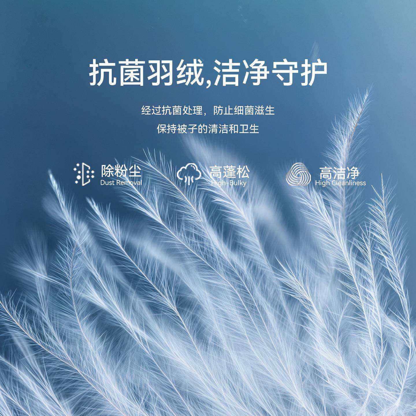 鸿白基4A95绒加鹅绒子母被二合一拉链款羽绒被被芯冬季被子厚202