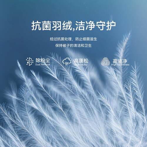 鸿白基4A95绒加鹅绒子母被二合一拉链款羽绒被被芯冬季被子厚202