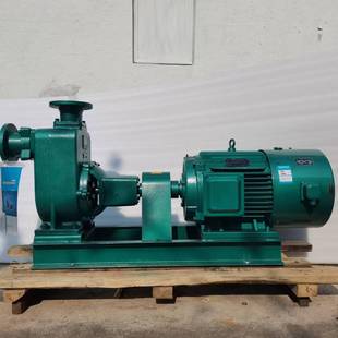 惠302州沃德脱硫塔316材质强酸自园林灌污溉水自吸泵65ZX30-1吸5-