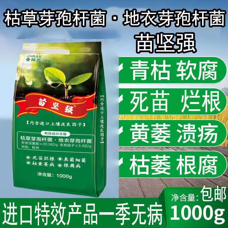 苗坚强防死苗烂根根腐黄枯萎青枯立枯蔓枯软腐抗重茬土壤传病菌剂