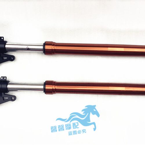适用于钱江 蓝宝龙QJ150-17A前减震器 倒置式减震器 前叉