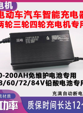 大功率60伏48V15A安充电器免维护电池72v100ah电瓶动三四轮车干水