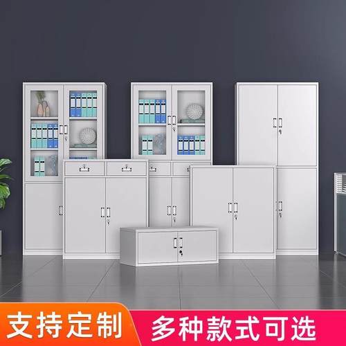 钢制文件柜财务LBW公资料档案存放皮柜办办公室铁柜带锁储落地物