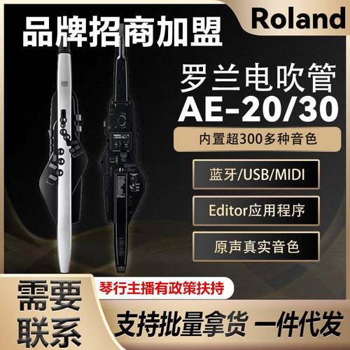 RolandWJU罗兰电吹器管中乐AE20老人娱乐初学AE30电子萨克斯年葫