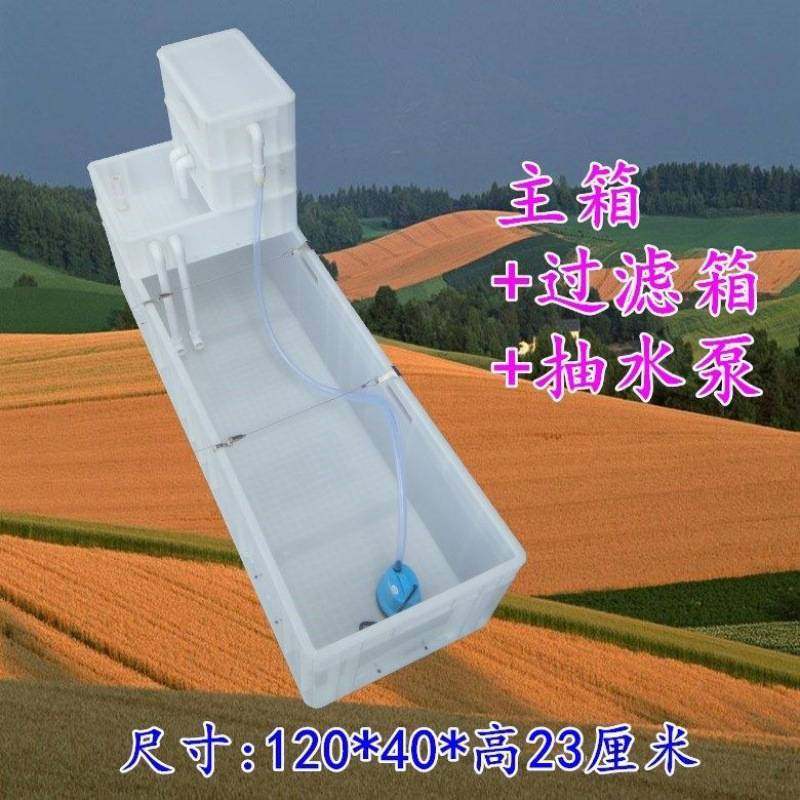 周转箱过滤长方形带过滤盒养龟箱养龟缸养殖箱龟池鱼池水产养殖箱,鲜花速递/花卉仿真/绿植园艺,其它园艺用品,淘宝优惠券,粉丝福利购,淘宝优惠卷