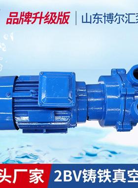 真空泵2BV环2060水B式真空泵铁2V铸真空抽JUA气泵机电设备淄博厂