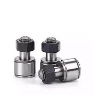 d10 BPF21 d12 d30 d24 PP凸轮轴承随动器 d20