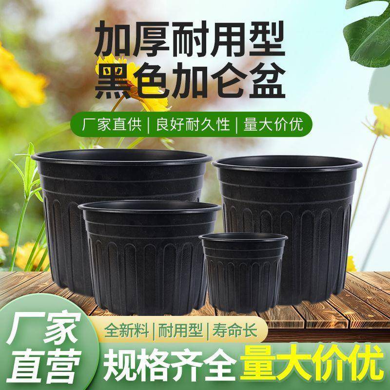 侧棱YLP阳加盆二代加塑厚仑料黑色花盆台月季玫瑰绿萝吊兰盆育苗