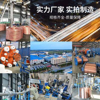 家装工D程国WZB标-BY334J低烟无卤家用1./2.5/4/6铜芯5单芯硬线电
