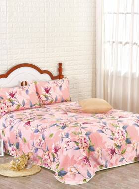 厂家d-589加厚四季帆3布老布床单2*2./2.3布*2.5展销粗会