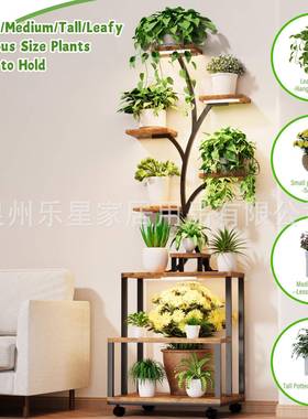 置植物架室厅内花架绿植多层艺客挂铁件FDI装饰花盆架物架子