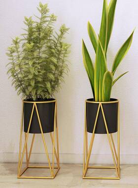 欧绿简约铁艺花式置物架花架子51561室内客厅架落地式萝吊兰绿植