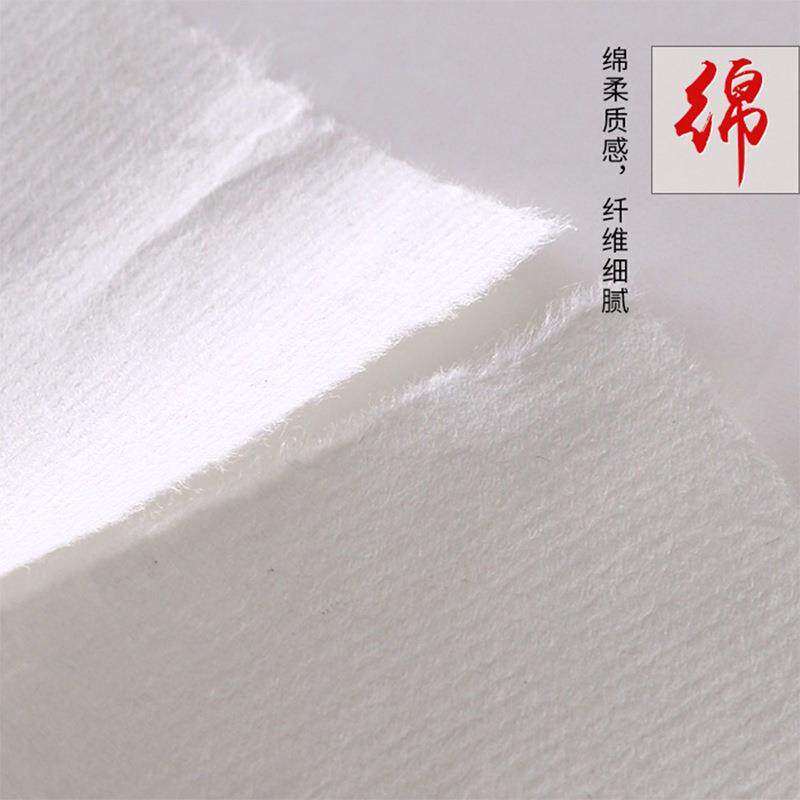 加厚尺宣纸半生半熟生纸书法国画习作品熟宣初学宣389者毛笔四字