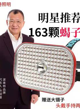 波来特捉蝎子灯紫光灯BX11抓逮照蝎灯强光超亮头戴手持豆虫头灯