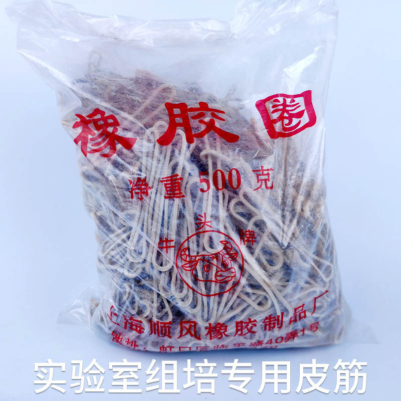 组培用上海牛头牌皮筋 500G/包 耐高温高压 橡胶圈 牛皮筋 乳胶圈