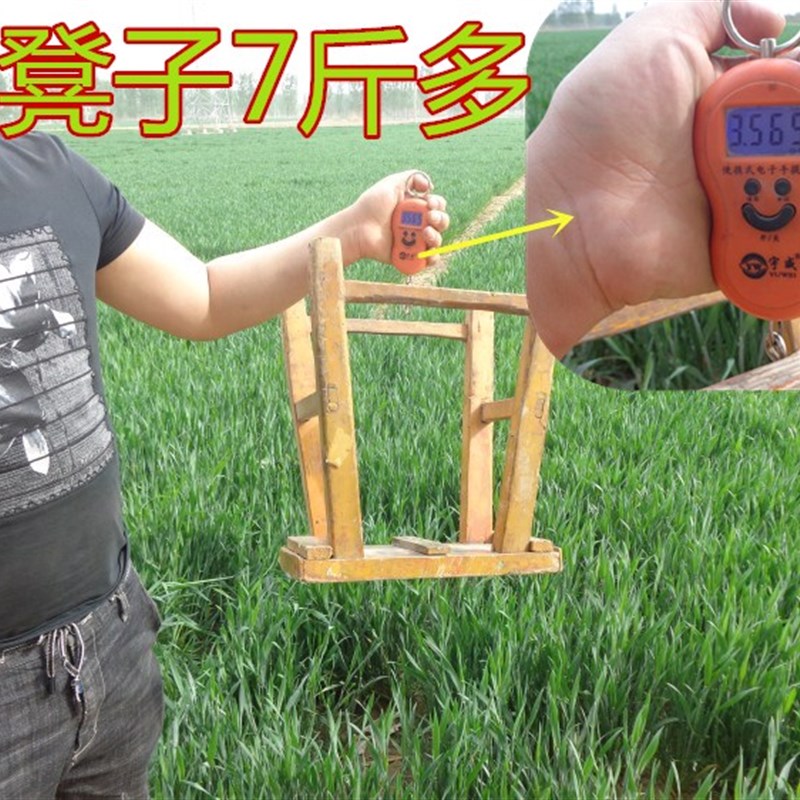 大物抄网伸缩网兜不锈钢钓鱼抄网加厚可折叠防滑打鱼一体捞鱼网杆