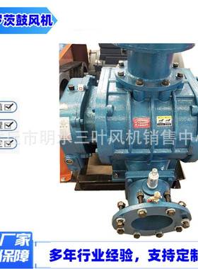 罗茨风机低噪声构合叶理化大风污水处量FEO理曝气风机三罗茨结鼓