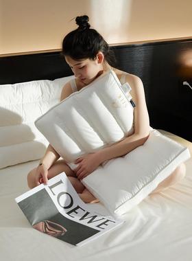 高端绒蚕丝丝护颈枕枕中低枕芯61335上层蚕下层羽丝头舒适防螨