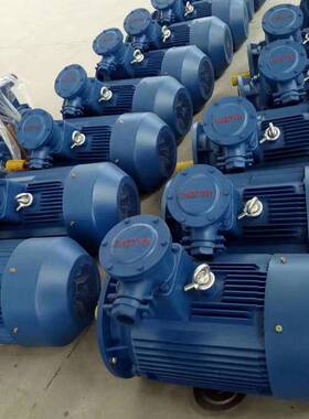 鸿泰隔爆型节能电机YBBP-355M2-4 250KW 380V 隔爆等级BT4Gb