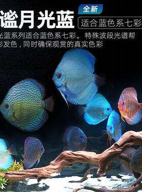 吉七彩印仙鱼专用灯RGB红蓝色色ENA观赏灯鱼缸神灯led防水增艳增