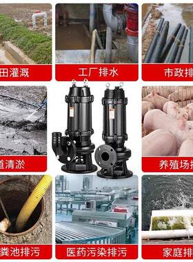 Q法兰水排污泵污泵282XFL0V家用抽粪泥浆抽水泵30V潜水W泵抽水机