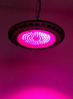 LED圆ZW66008形植物补灯光红蓝全谱植物蔬菜室光内大灯棚厂家植物