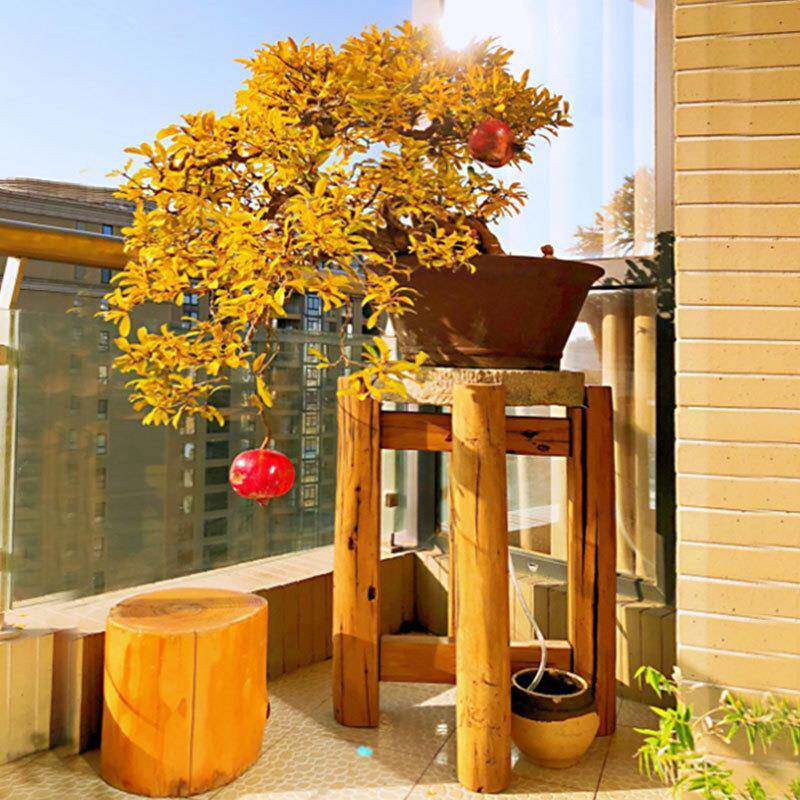 榆木花花盆老原木架底子架座新中FQI式创意落地盆景架室内阳台置,鲜花速递/花卉仿真/绿植园艺,其它园艺用品,淘宝优惠券,粉丝福利购,淘宝优惠卷