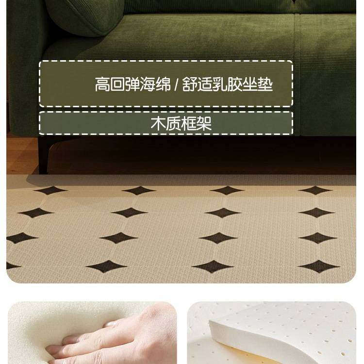 轻奢客厅小户型卧室公寓出租屋服装店接待休息区双三人布艺小沙发,鲜花速递/花卉仿真/绿植园艺,其它园艺用品,淘宝优惠券,粉丝福利购,淘宝优惠卷