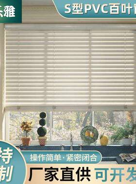 苏州厂家S型VC室百叶帘卫生RYN间P厨房阳台办公拉珠升降窗遮光窗