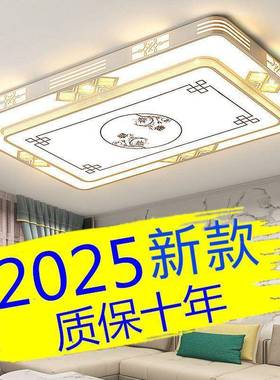客厅灯025年新款长32353方形中家用2大灯吸顶灯LD简约式卧室E灯具