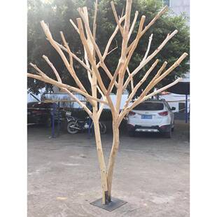 原干木71863361造型装枯树树树枝饰树杈色实木展示衣帽架